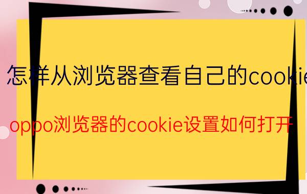 怎样从浏览器查看自己的cookie oppo浏览器的cookie设置如何打开？